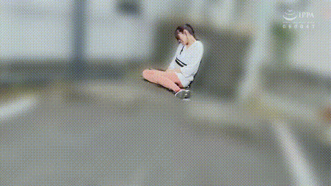 動画の約17%地点のGIFサンプル