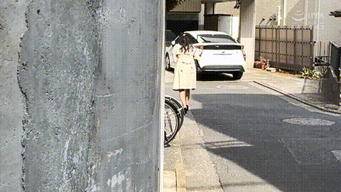 動画の約50%地点のGIFサンプル
