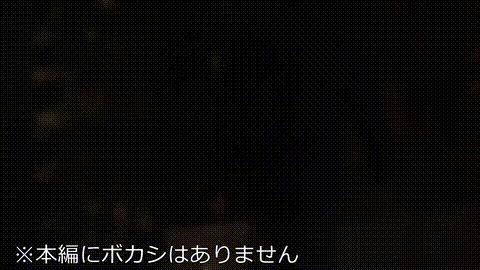 動画の約17%地点のGIFサンプル
