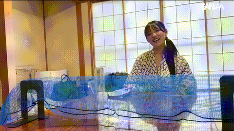 動画の約33%地点のGIFサンプル