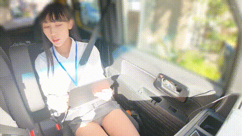 動画の約17%地点のGIFサンプル