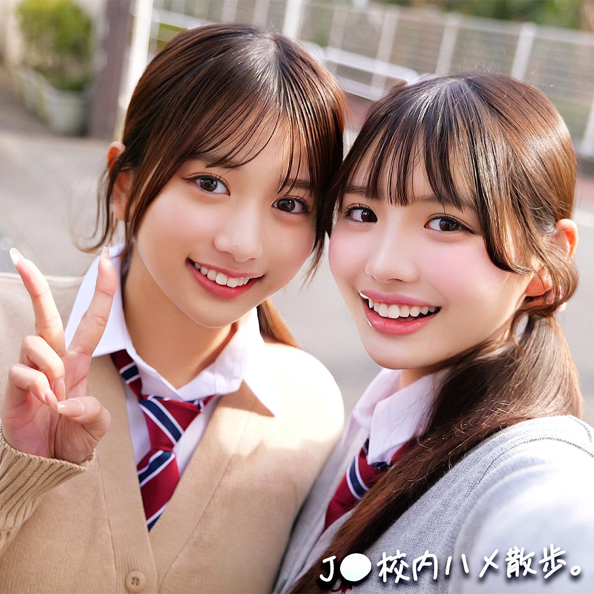 K＆M パッケージ画像