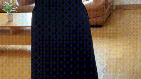 動画の約50%地点のGIFサンプル