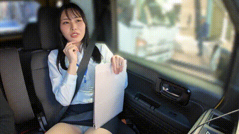 動画の約33%地点のGIFサンプル