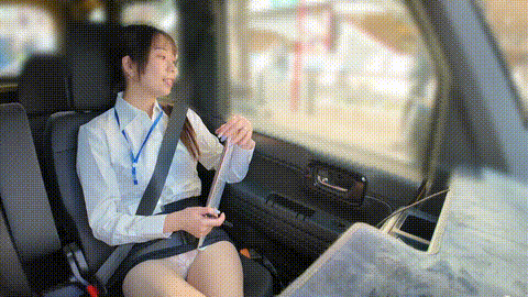 動画の約17%地点のGIFサンプル